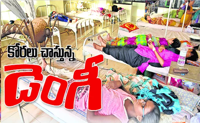 Dengue Diseases In Mahabubnagar District - Sakshi