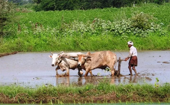 Dileep Reddy Article On Farmers Rights - Sakshi