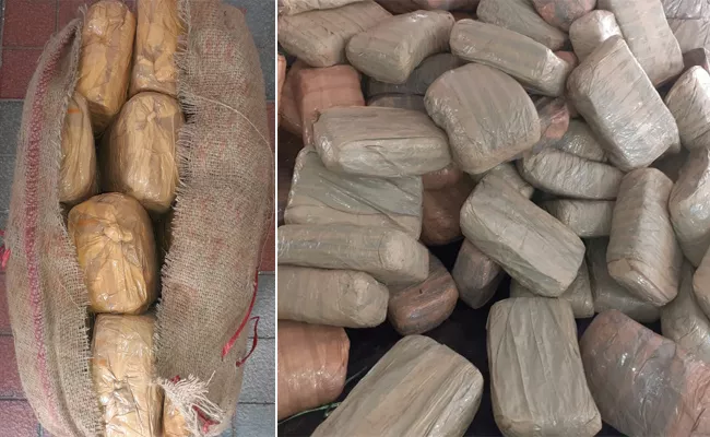 DRI Seized 944 kg Ganja In Hyderabad Outskirts - Sakshi