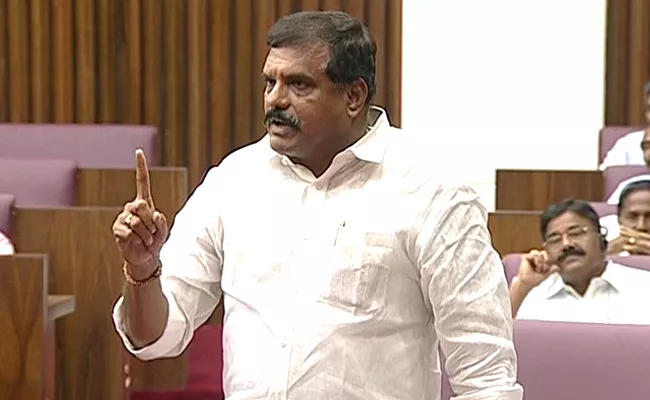 Botcha Satyanarayana Fires On TDP Leaders In Council - Sakshi