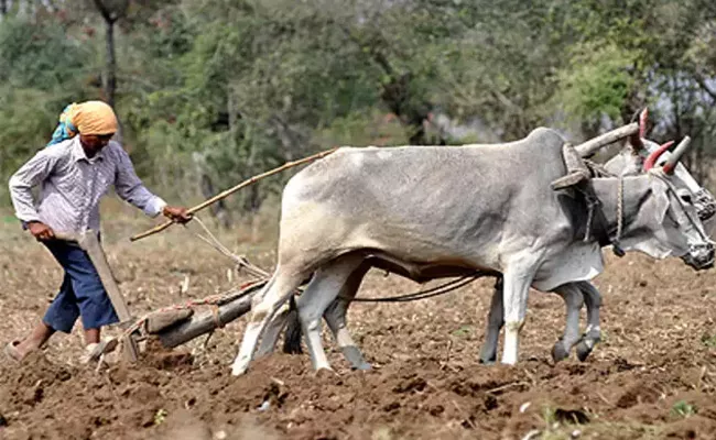 Telangana Tenant Farmers Waiting For Govt Schemes - Sakshi