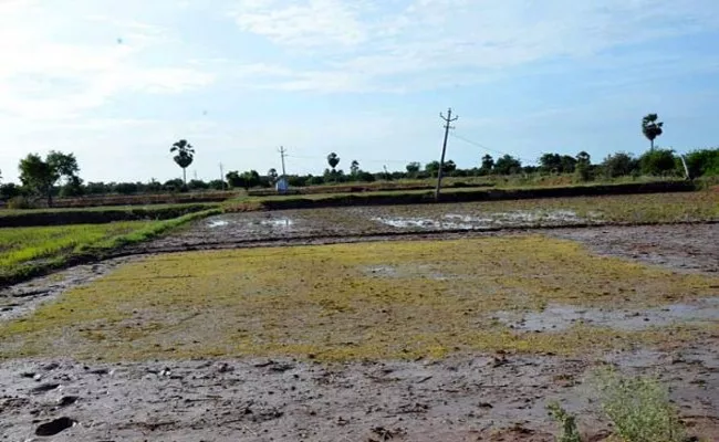 Farmers Waiting For Rain Mahabubnagar - Sakshi