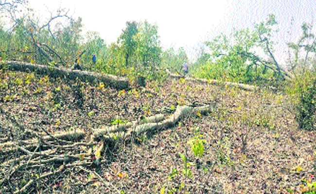 Wood Smuggling In Khammam Forest - Sakshi