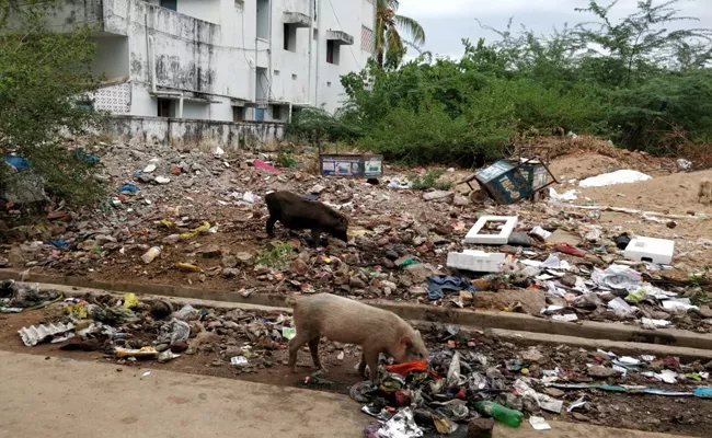 Waste In The Areas Are Piles - Sakshi