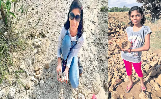 Aswatha Special Story on Fossils Collecting - Sakshi