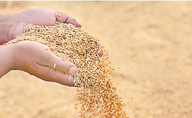 production of foodgrains in Telangana has significantly increased - Sakshi