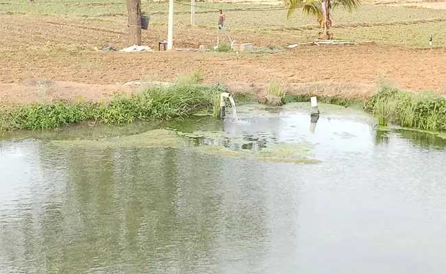 Farmers Facing Problems Due To Late Rainfall - Sakshi