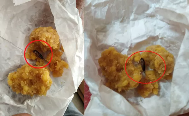 Insects Found In Basara Laddu Prasadam - Sakshi