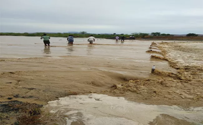 Irrigation Officers Should Speed Up Pond Development In Prakasam - Sakshi