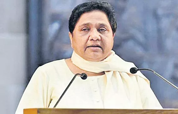 BSP will fight all polls alone - Sakshi