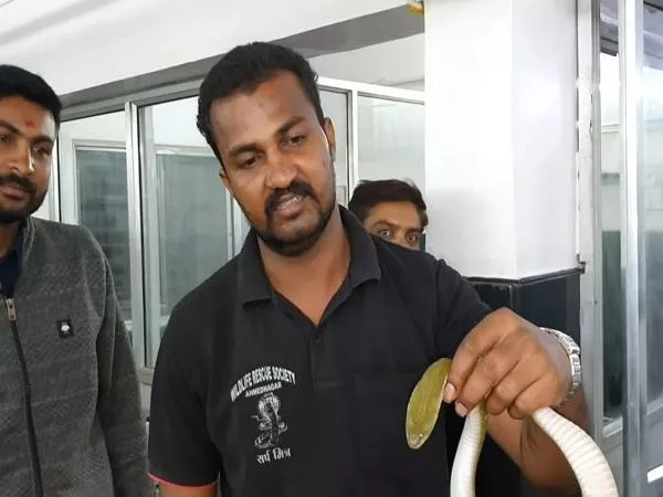 Rescued a Snake From Sleeping Man’s Kurta in Maharashtra - Sakshi