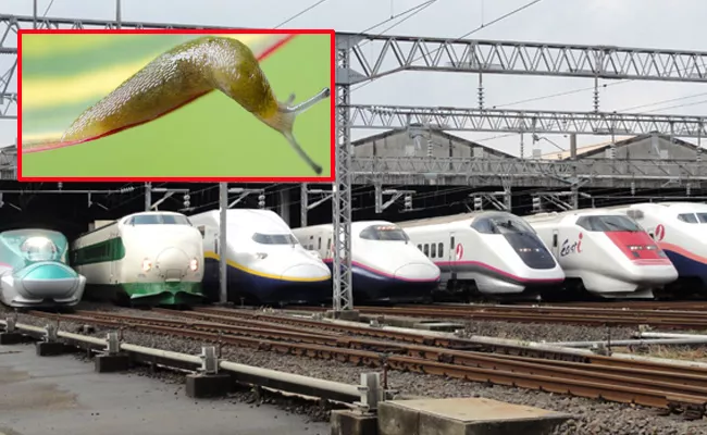 Slug Blamed For Power Failure on Japanese Railways - Sakshi