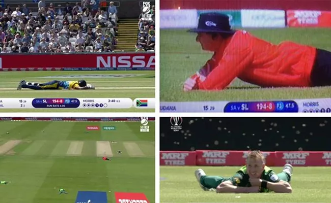 Bee Attack During Sri Lanka vs South Africa Netizens Hilarious Reactions - Sakshi