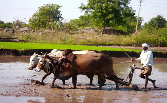 Farmers Facing High Interest Rate Problem In Karimnagar - Sakshi