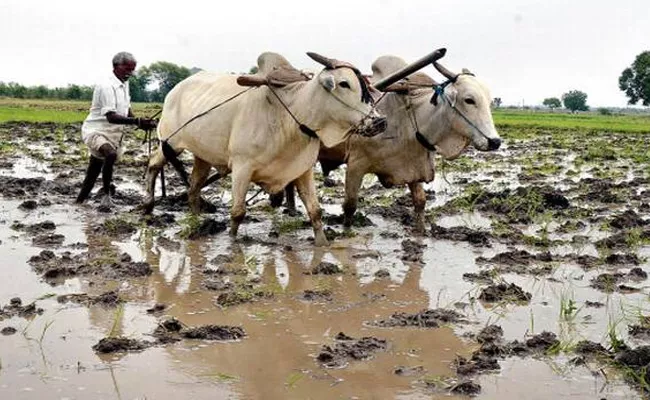 Kharif Season Farmers Reddy Karimnagar - Sakshi