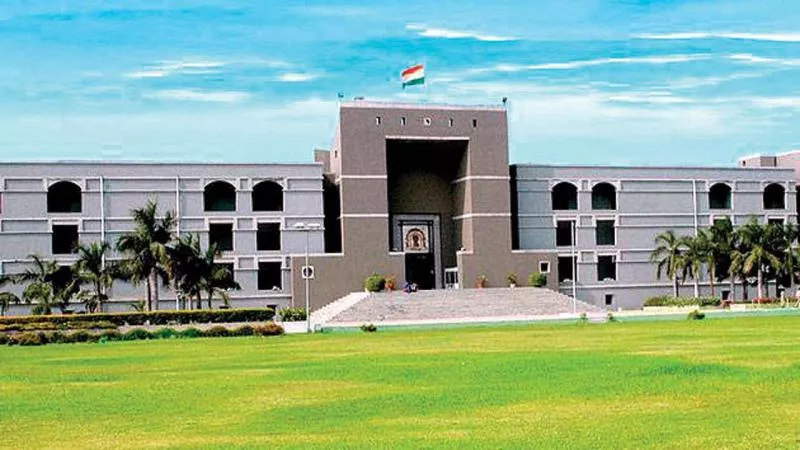 Man Moves Gujarat High Court  To Get Back Newly Wed Wife - Sakshi