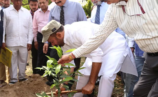 Union Minister Kishan Reddy Planted Sapling At Telangana Bhavan Delhi - Sakshi