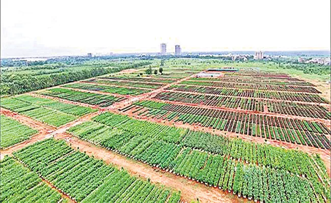 HMDA Planning Haritha Haram With 14 Lakhs Plants - Sakshi