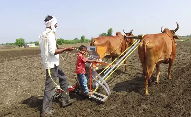 Kharif Crop Season Adilabad Agriculture - Sakshi