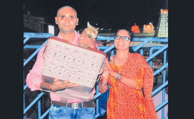 Couple Searching For Cat in Renigunta Railway Station - Sakshi