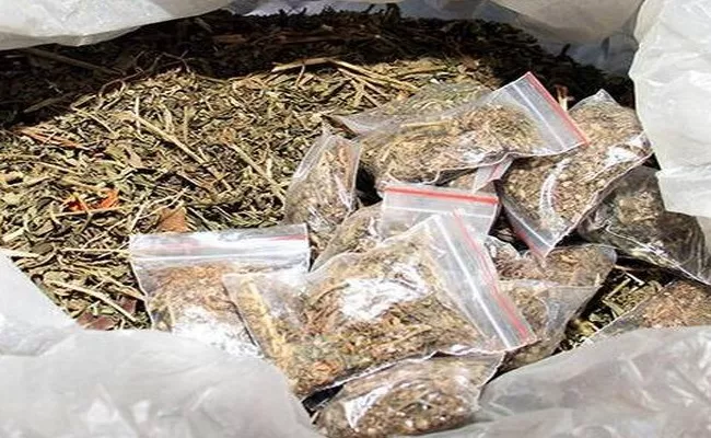 Ganja Worth Rs 1 Crore Caught At Duddeda Toll Gate - Sakshi