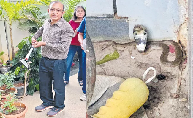 Rajeev Trivedi Catches Snake - Sakshi