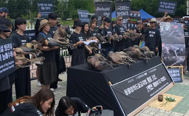 Protest Against the Dog Meat Trade in Seoul - Sakshi