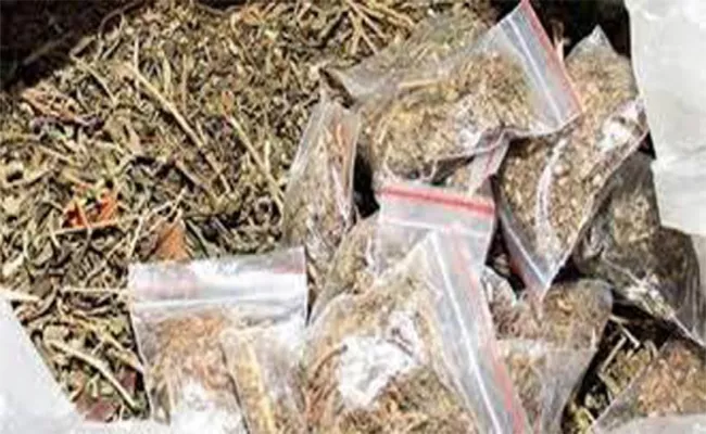 Police Seized Canj In West Godavari - Sakshi