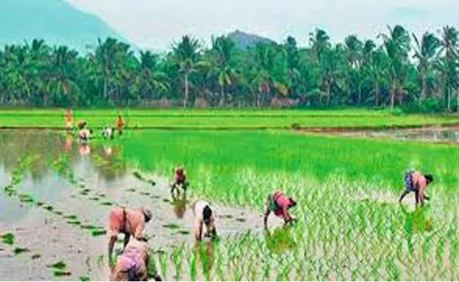 YS Jagan Mohan Reddy Give Crop Loans To Tribal Farmers - Sakshi