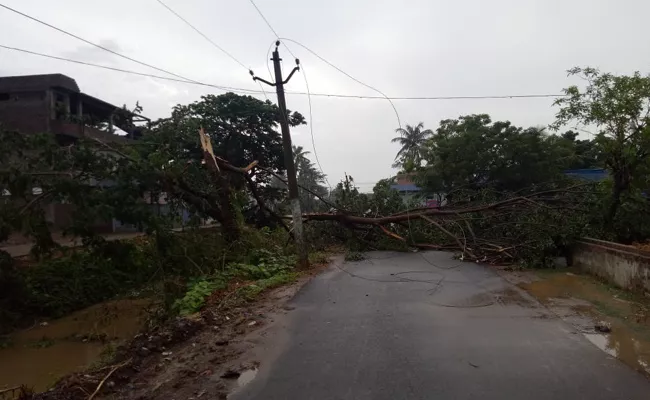 85 Millimeters Rain Fall Was In Krishna District - Sakshi