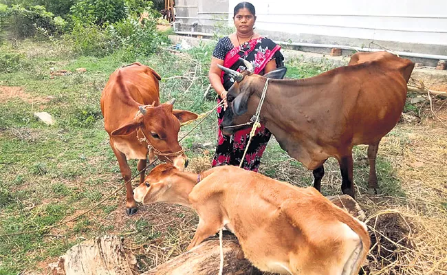 Chittoor Women Dairy Farming Special Story - Sakshi