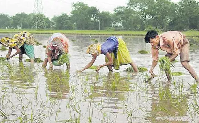 Devinder Sharma Article On Agriculture And Financial Status - Sakshi