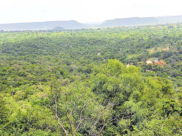 Green Signal for uranium exploration in the forests of Amrabad - Sakshi