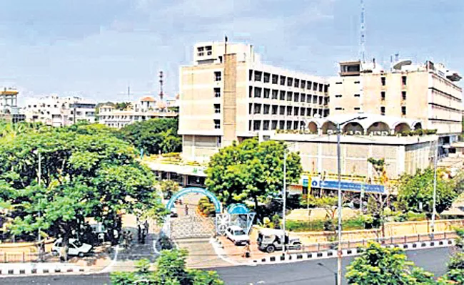 Vertical Gardening in Hyderabad - Sakshi