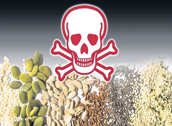 Adulterated seeds is one of the main reason for farmer suicides - Sakshi