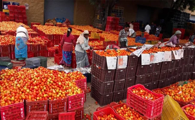 Farmers Vulnerable To Exploitation In The Tomato Market - Sakshi