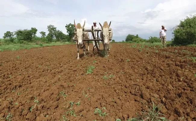 State Cabinet Approves Draft Bill To Help Tenant Farmers - Sakshi