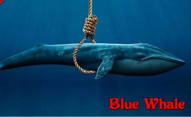 Man Committed Suicide While Gaming Blue Whale In Pune - Sakshi