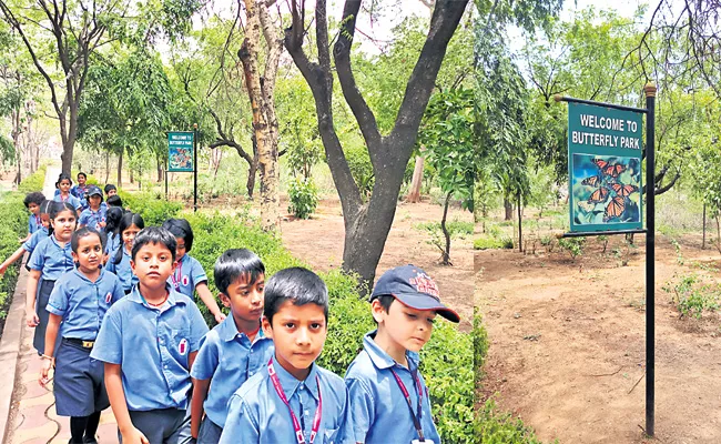 Butterflys Shortage in Butterfly Park Hyderabad - Sakshi