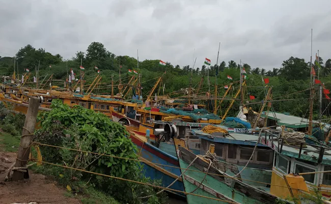 Plenty Of Fishes In Narasapuram Coastal Fisher Men Are Happy - Sakshi