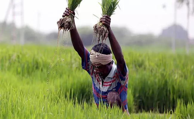 The AP Cabinet Approves Draft Bill Which Helps The Tenant Farmers - Sakshi