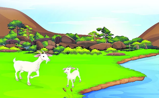 The Clever Goat Short Story For Kids - Sakshi