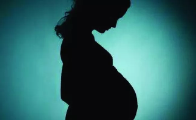 Pregnant Woman Carried In Doli Kothavalasa Vizianagaram - Sakshi