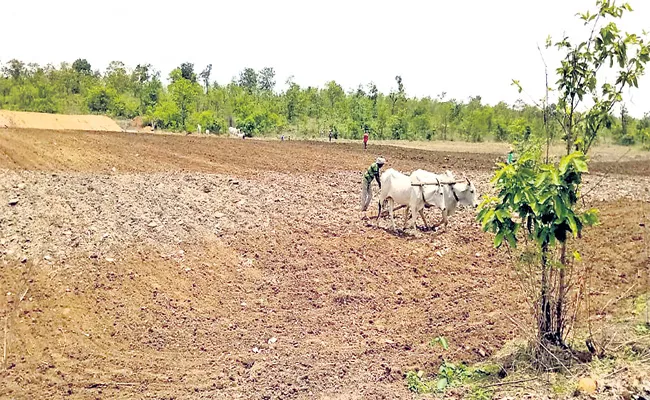 Non Tribals Podu Cultivation In Tribal Areas - Sakshi