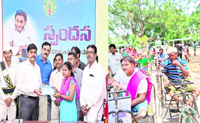 Spandana Programme Successfully Running in Srikakulam - Sakshi