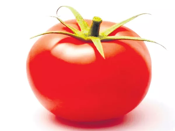 Tomato prices has increased heavily - Sakshi