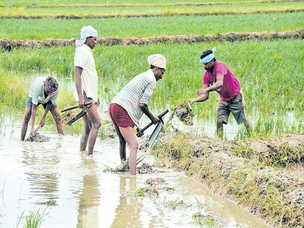 YSR Rythu Bharosa also for tenant farmers - Sakshi