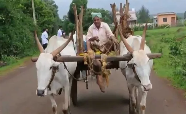 No Bullock carts Were Found  Now-a-Days In Kondagattu Area, Jagtial - Sakshi