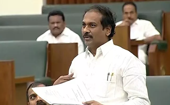 Kurasala Kannababu Slams TDP Over Farmers Loan Waiver AP Assembly - Sakshi