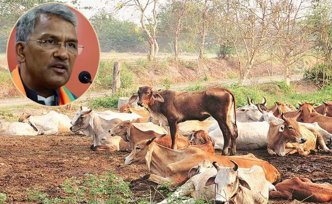 Uttarakhand CM Makes Strange Comments On Cows - Sakshi